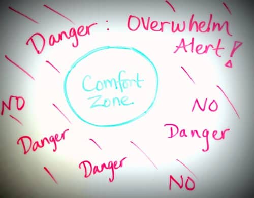 Comfort zone vs overwhelm zone image