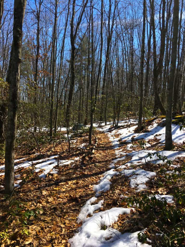snow melting in spring