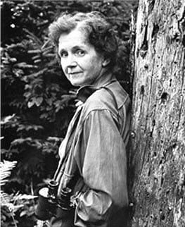 Rachel Carson - biologist, writer, ecologist, introvert