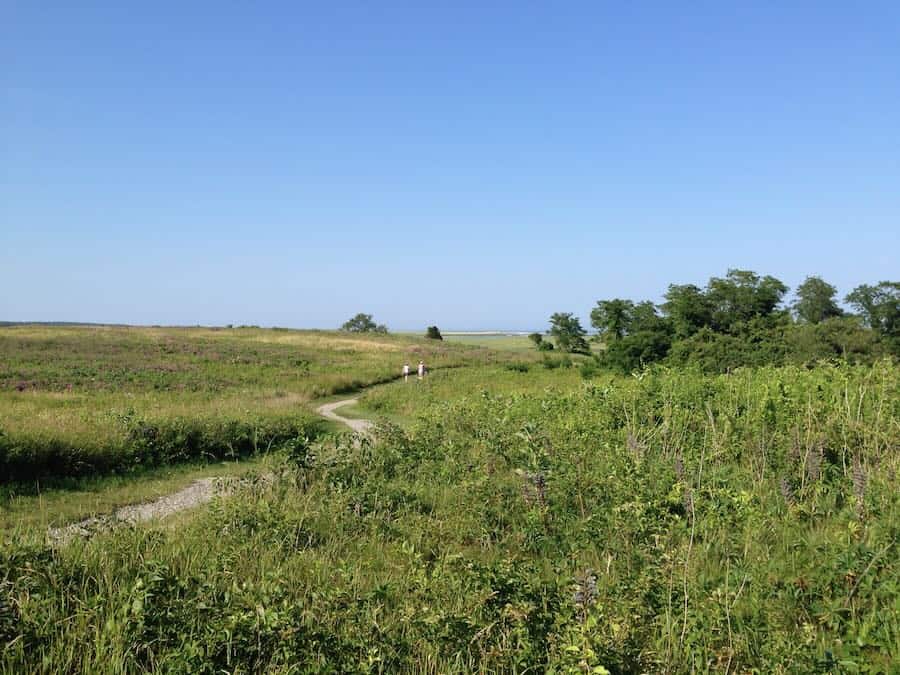 walking the path together