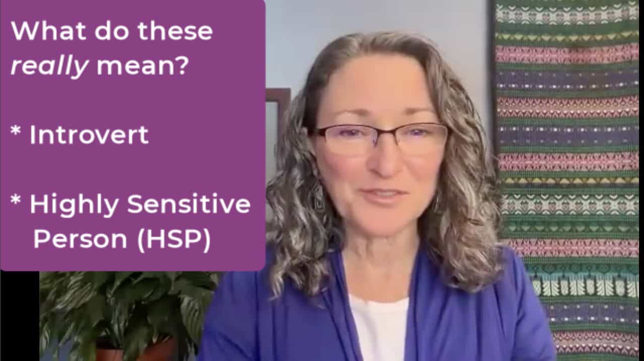 What do these really mean? Introvert? HSP? - click for video lesson