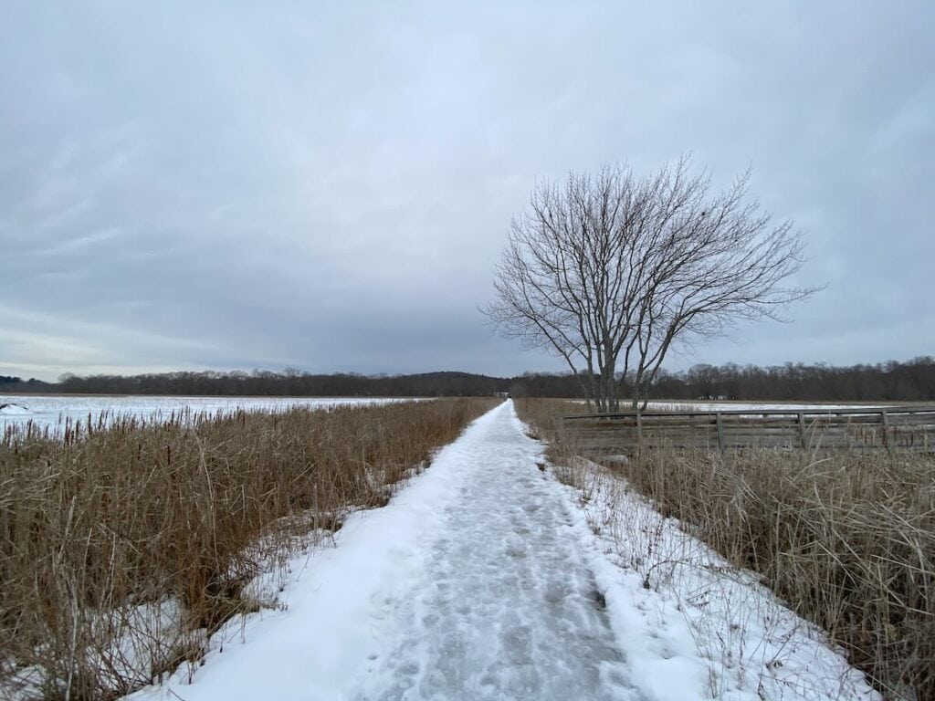 bumpy icy path over salt marsh