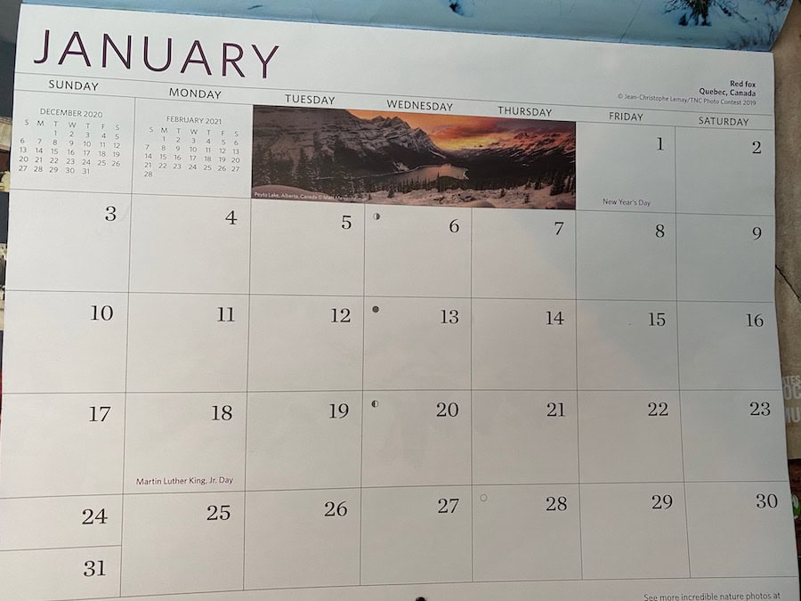 January calendar