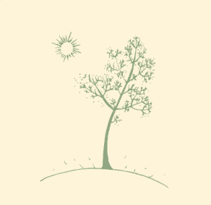 Green tree doodle with yellow sunny background - represents established solopreneur looking for more ease