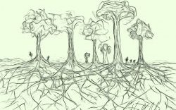 tree-roots-interconnected-green-vn-250×176 Like trees in a forest, we are stronger and more resilient when you're in it together.