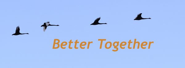 mastermind groups for introverts - Better Together
