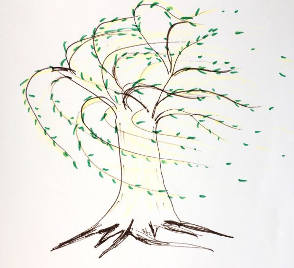 Flexible strength - willow tree